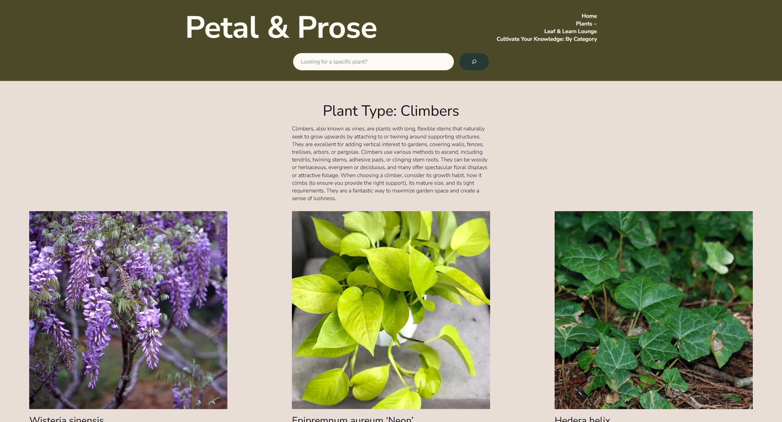 Website Sample Image